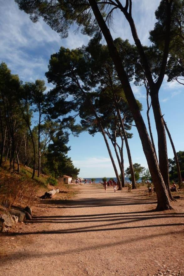 Daniel Saint-Cyr-sur-Mer Exterior foto