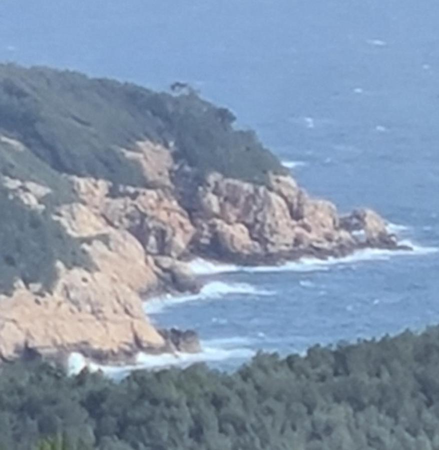 Daniel Saint-Cyr-sur-Mer Exterior foto